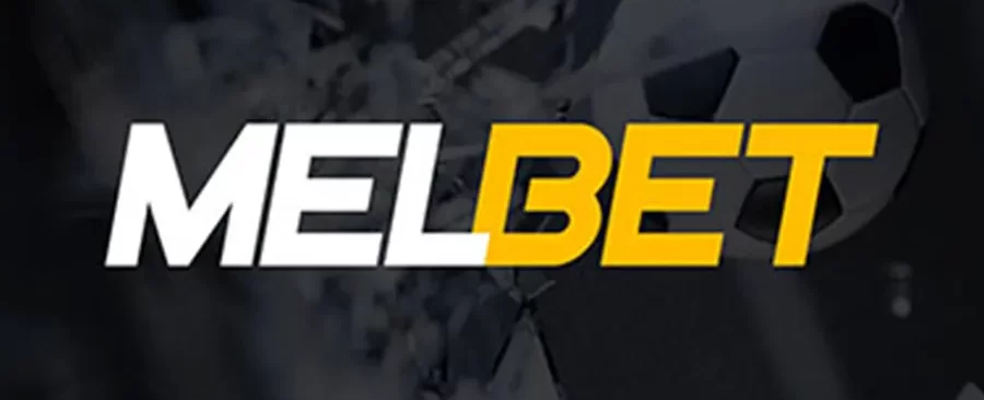 best cricket betting apps in india