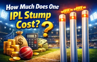 how much an IPL stump cost
